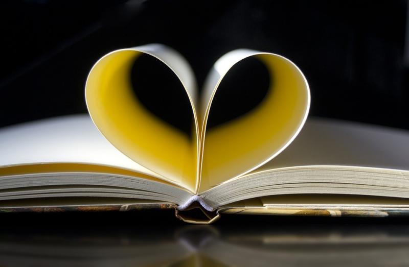 Annunci Cogefim libreria Mondadori in vendita in provincia di Bergamo